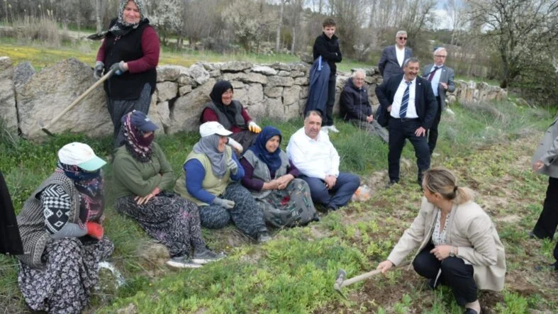 Muhammet Mısırlıoğlu