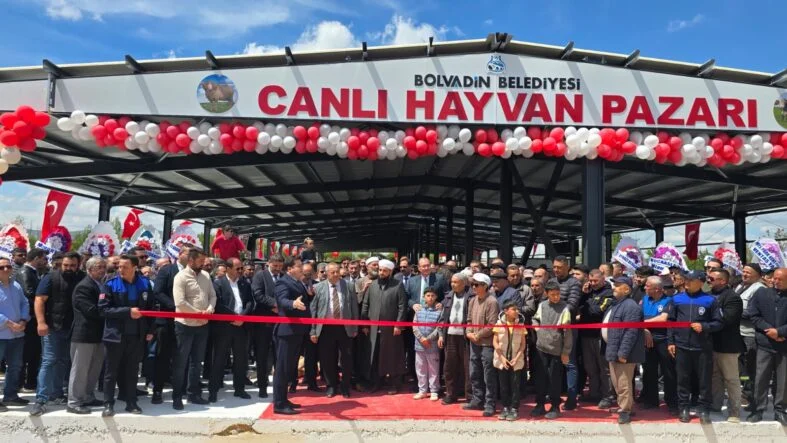 Bolvadin hayvan pazarı